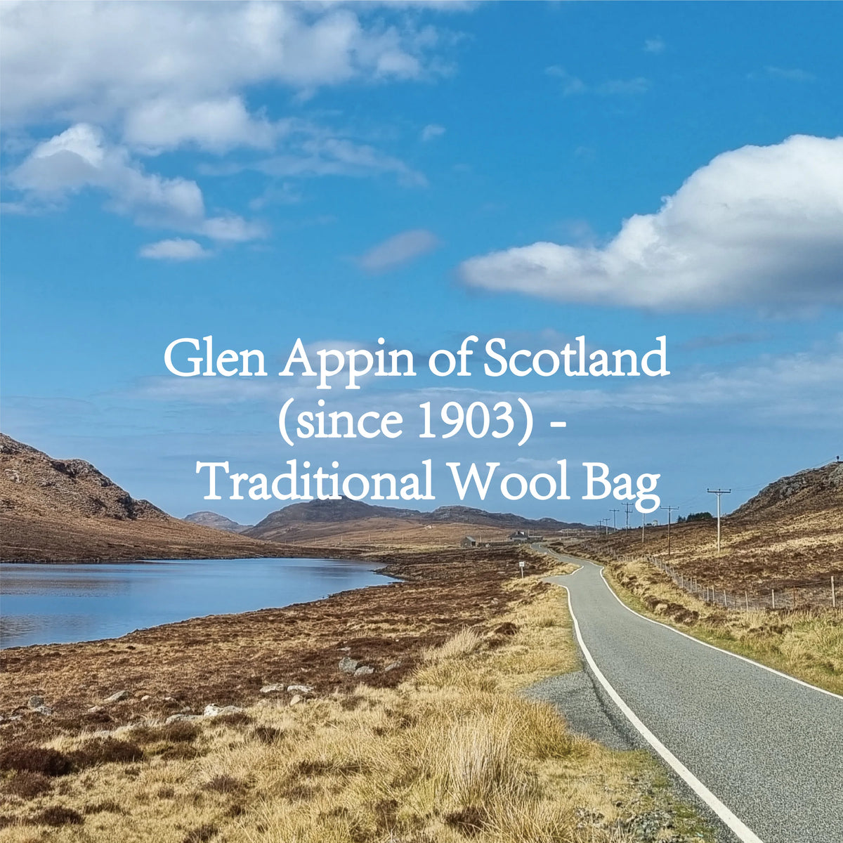 GLEN APPIN Harris Tweed Wool Tote Bag With Detachable Strap